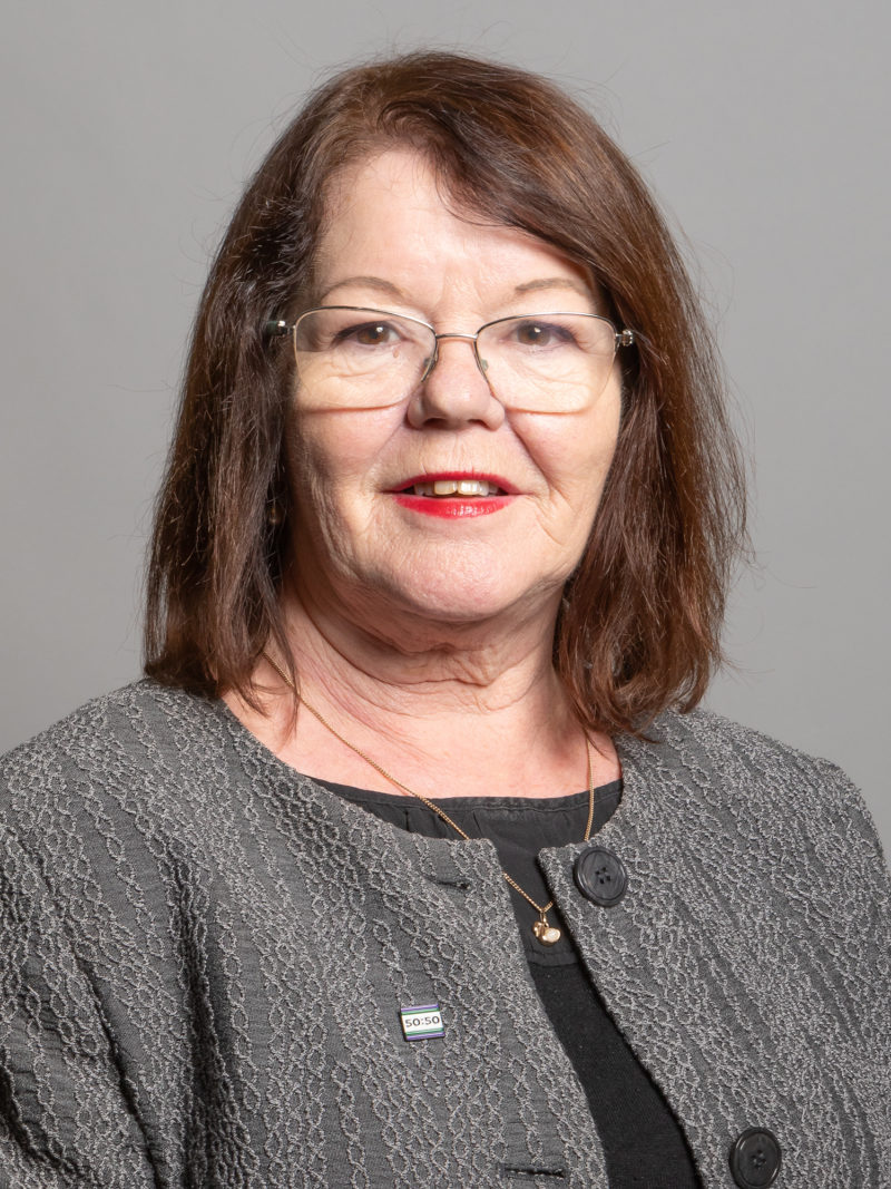 Kate Hollern MP Portrait 